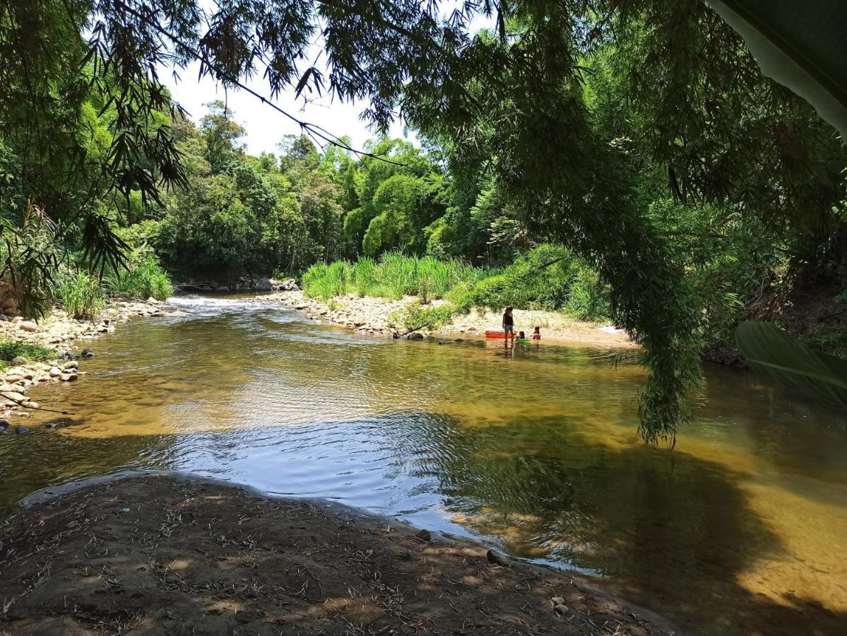 Ecoisa De Chacara - Casa De Vidro, Casa De Campo Morretes Dış mekan fotoğraf