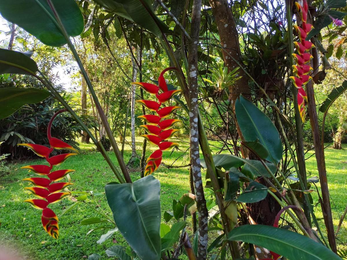 Ecoisa De Chacara - Casa De Vidro, Casa De Campo Morretes Dış mekan fotoğraf