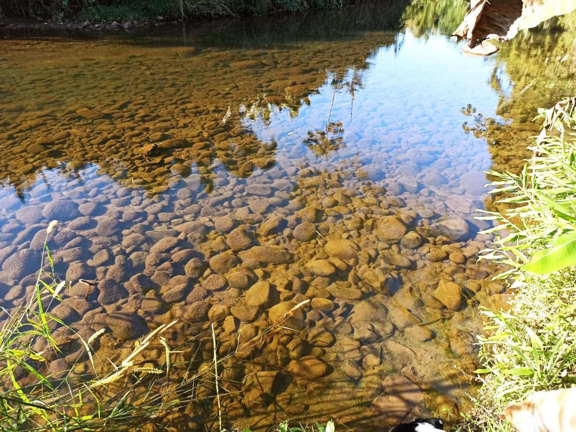 Ecoisa De Chacara - Casa De Vidro, Casa De Campo Morretes Dış mekan fotoğraf