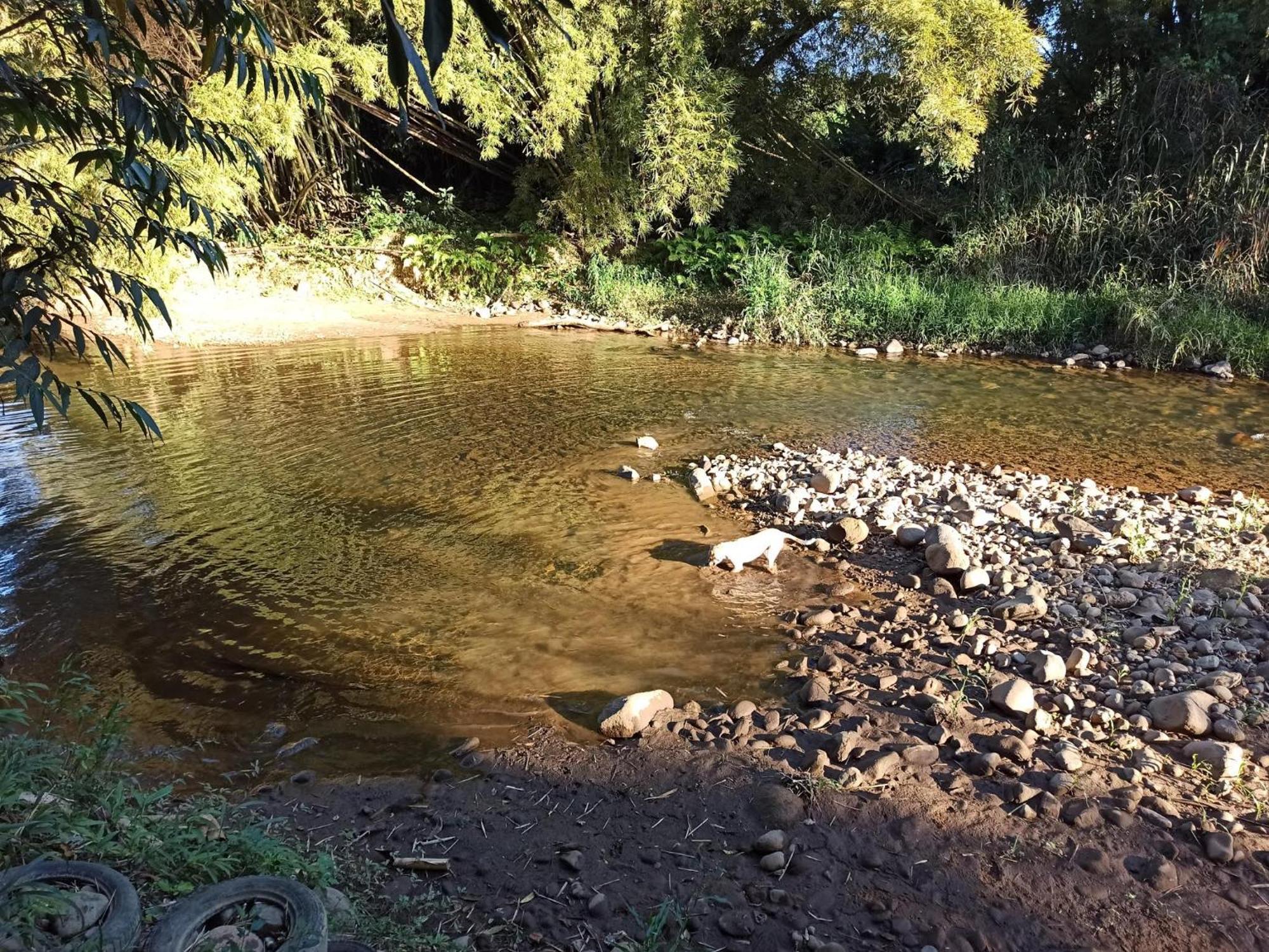 Ecoisa De Chacara - Casa De Vidro, Casa De Campo Morretes Dış mekan fotoğraf