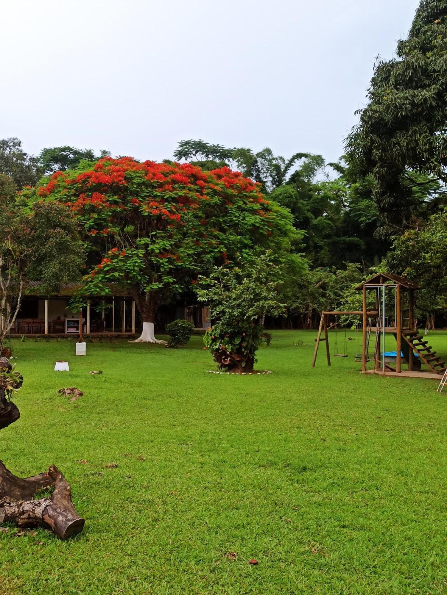 Ecoisa De Chacara - Casa De Vidro, Casa De Campo Morretes Dış mekan fotoğraf